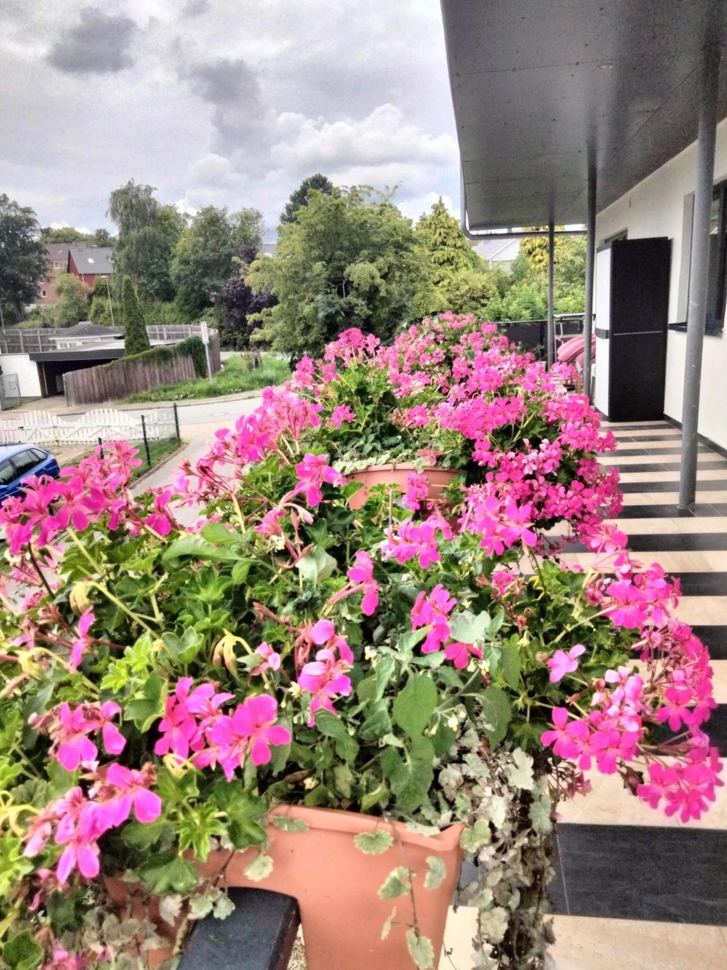 Komfort-Ferienwohnung Mit Ostseeblick ,Entspannung Flensburg Dış mekan fotoğraf